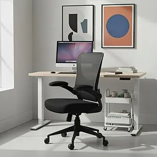Cadeira Escritorio Ergonomica e Confortável DT3 Vita com revestimento Mesh Spandex+Tecido Softex, braço retrátil até 90º,Espuma Injetada, Certificada NR-17(Black)